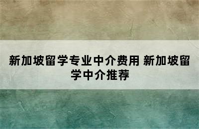 新加坡留学专业中介费用 新加坡留学中介推荐